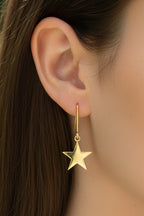 St Marys Star 9ct Gold Drop Shepherds Hook Earrings