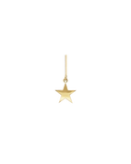 St Marys Star 9ct Gold Drop Shepherds Hook Earrings